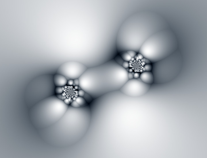 Bone Cells