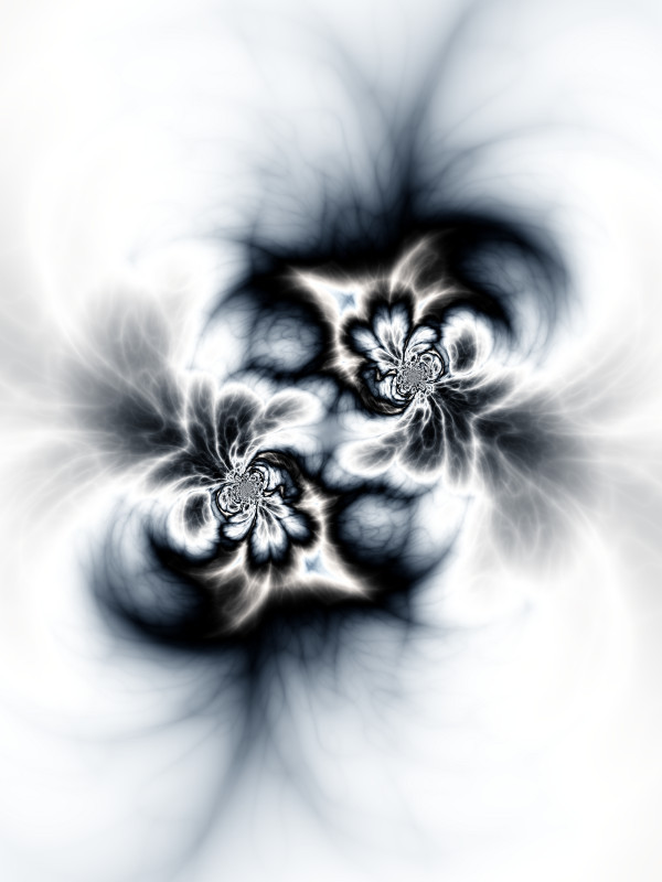 Dual Singularities