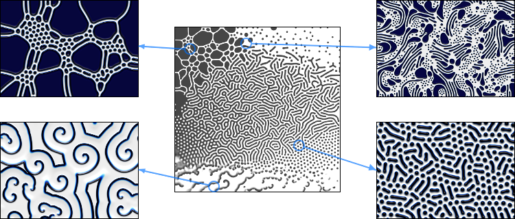 reaction-diffusion pattern map with examples