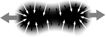 RD motisis vectors