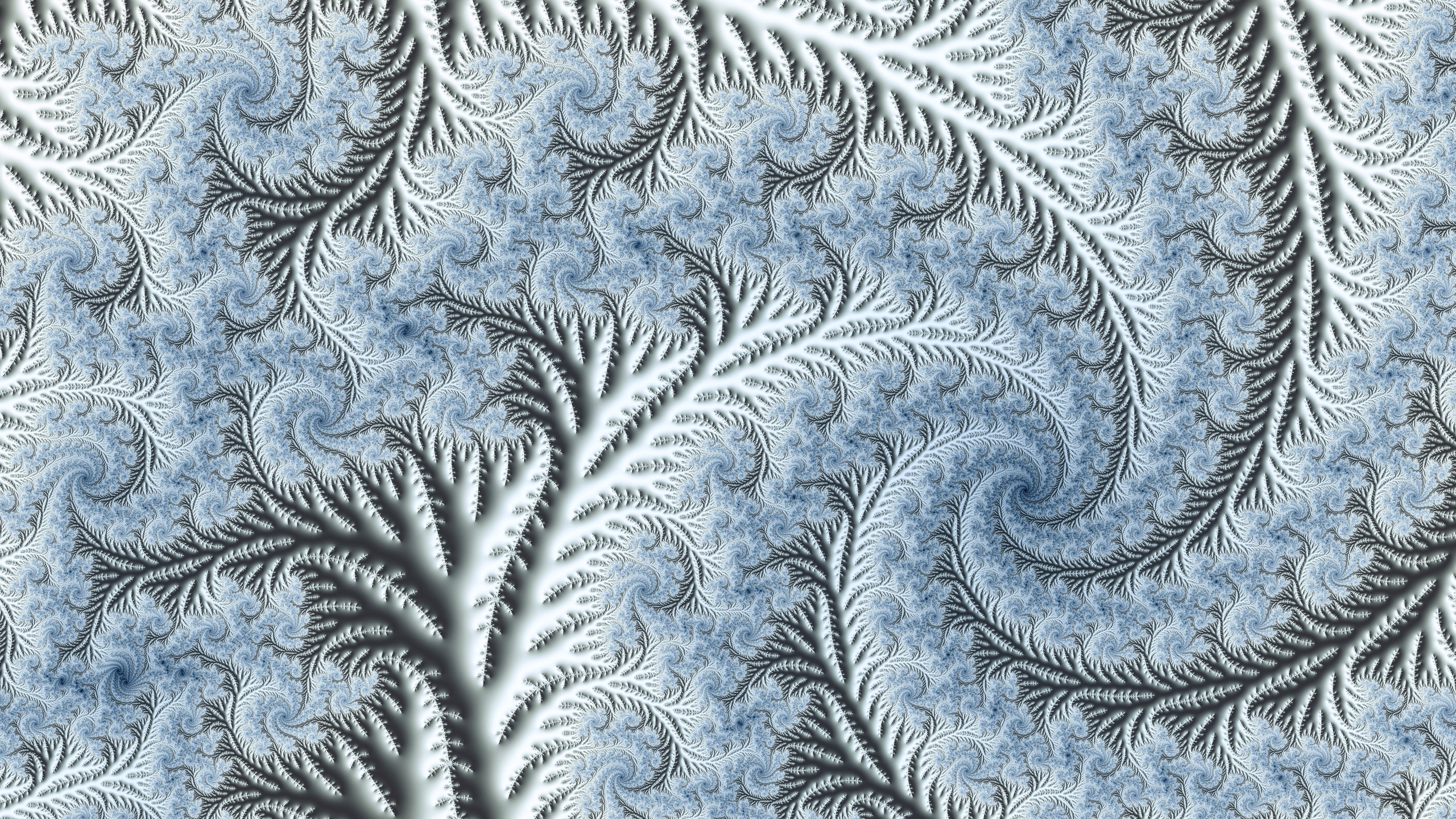 Mandelbrot set